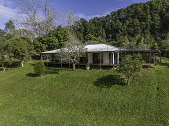 59 Town Road Terania Creek NSW 2480 - Image 3