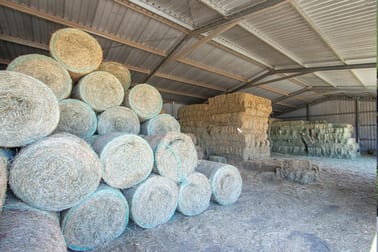 Animal Related  business for sale in Gatton - Image 3