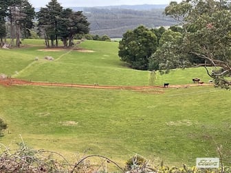 184 Youngs Road Irishtown TAS 7330 - Image 2