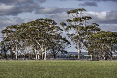 13019 Kununoppin-Mukinbudin Road North Kununoppin WA 6489 - Image 2