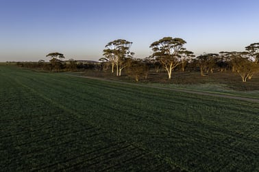 13019 Kununoppin-Mukinbudin Road North Kununoppin WA 6489 - Image 1