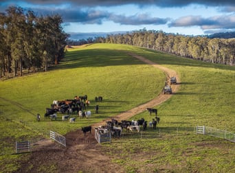 'Rosewood', Geraldine Road Walcha NSW 2354 - Image 1