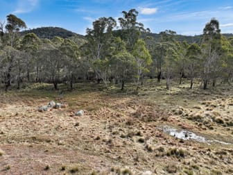 Lot 1065 Creewah Road Creewah NSW 2631 - Image 1