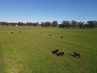 11009 The Escort Way Forbes NSW 2871 - Image 1