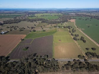 11009 The Escort Way Forbes NSW 2871 - Image 2