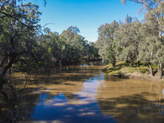 11009 The Escort Way Forbes NSW 2871 - Image 3