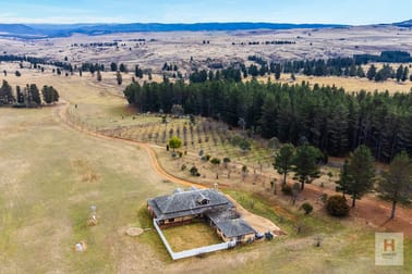 1587 Dalgety Road Dalgety NSW 2628 - Image 3