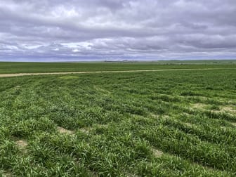 4529 Kulin-Lake Grace Road Kuender WA 6353 - Image 1