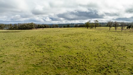 737 Dyamberin Road Wongwibinda NSW 2350 - Image 2