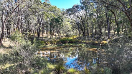 504 Roseneath Road Watsons Creek NSW 2355 - Image 2