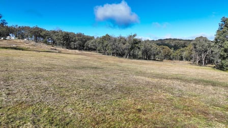 504 Roseneath Road Watsons Creek NSW 2355 - Image 3