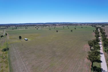 "Ben Hall Park" Yarrangong Road Forbes NSW 2871 - Image 3