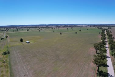 "Ben Hall Park" Yarrangong Road Forbes NSW 2871 - Image 2