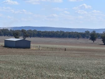 "Ben Hall Park" Yarrangong Road Forbes NSW 2871 - Image 3