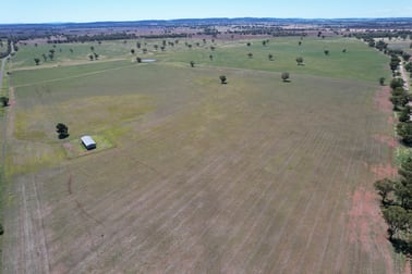 "Ben Hall Park" Yarrangong Road Forbes NSW 2871 - Image 1