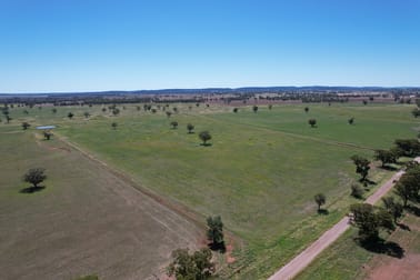 "Ben Hall Park" Yarrangong Road Forbes NSW 2871 - Image 1