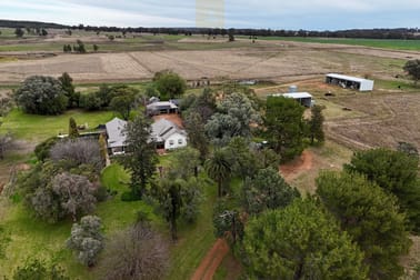3744 Purlewaugh Road Purlewaugh NSW 2357 - Image 1
