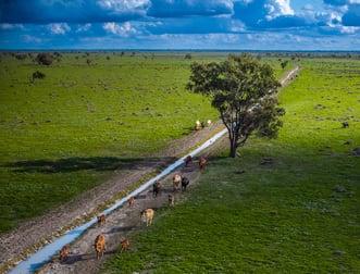 'Trewilga' Coonamble NSW 2829 - Image 2