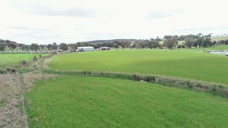 823 Peabody Road Molong NSW 2866 - Image 2