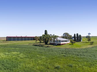 294 Rosenberger Road Wyreema QLD 4352 - Image 1