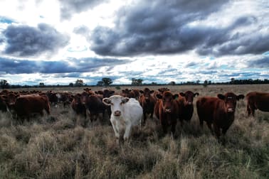 281 Gobondery Road Tullamore NSW 2874 - Image 1