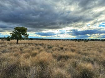 281 Gobondery Road Tullamore NSW 2874 - Image 2