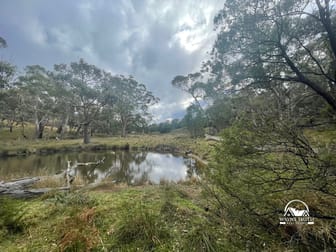 UNDER CONTRACT Paddys Dam Road Tooborac VIC 3522 - Image 3