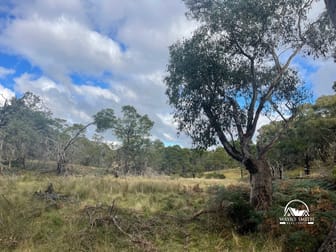 UNDER CONTRACT Paddys Dam Road Tooborac VIC 3522 - Image 1