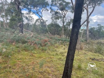 UNDER CONTRACT Paddys Dam Road Tooborac VIC 3522 - Image 2