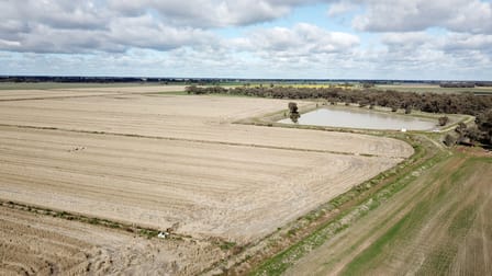 Mayrung Road Jerilderie NSW 2716 - Image 1