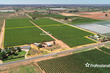 344 Fifth Street Merbein VIC 3505 - Image 1