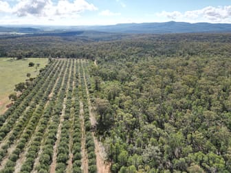 "Montawaa Park" Terrergee Road Berrigal NSW 2390 - Image 3