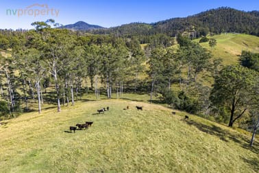 173 Lemans Road Yarranbella NSW 2447 - Image 3