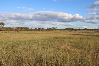 0 Bishop Road Garnant QLD 4702 - Image 3