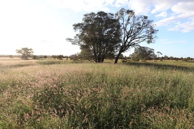 0 Bishop Road Garnant QLD 4702 - Image 1