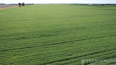 Jeitz Road Warra QLD 4411 - Image 2