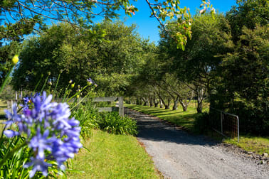 141 Woodhill Mountain Road Broughton Vale NSW 2535 - Image 3