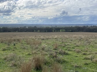 157 Rhodes Street Dunedoo NSW 2844 - Image 1