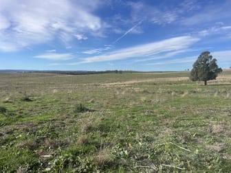 157 Rhodes Street Dunedoo NSW 2844 - Image 3