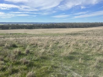 157 Rhodes Street Dunedoo NSW 2844 - Image 2