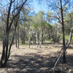 Lot 54 Goranba Lane Tara QLD 4421 - Image 1