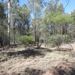 Lot 54 Goranba Lane Tara QLD 4421 - Image 2