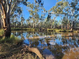546 Weitzels Road Tara QLD 4421 - Image 2