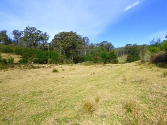 573 Towamba Road, NULLICA Via Eden NSW 2551 - Image 3