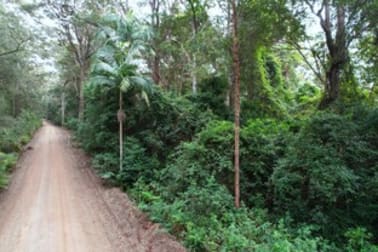 Lot 252 Bellthorpe Road Conondale QLD 4552 - Image 1