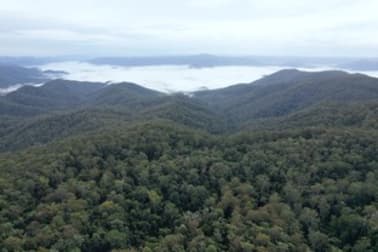 Lot 252 Bellthorpe Road Conondale QLD 4552 - Image 2