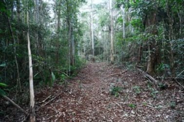 Lot 252 Bellthorpe Road Conondale QLD 4552 - Image 3