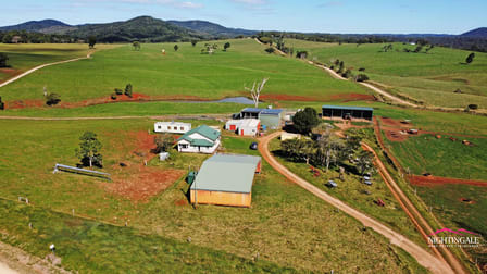 2381 Old Palmerston Highway Ravenshoe QLD 4888 - Image 1