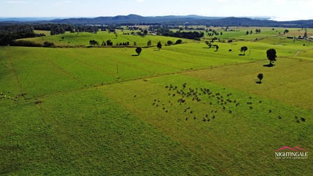 2381 Old Palmerston Highway Ravenshoe QLD 4888 - Image 2
