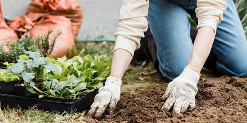 Gardening  business for sale in WA - Image 1
